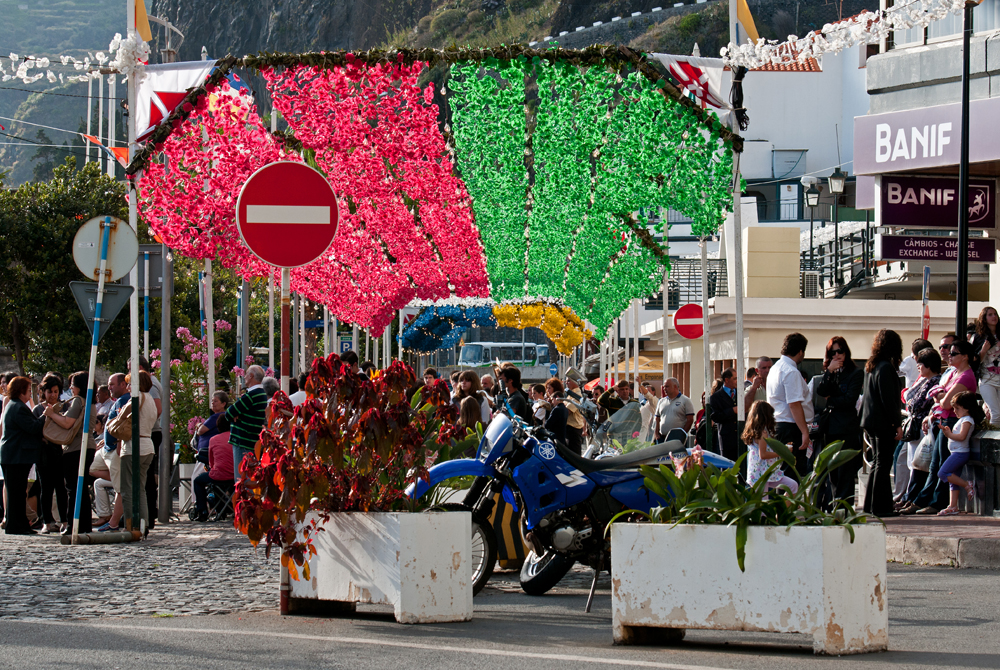 381_Madera_Ribeira Brava.jpg